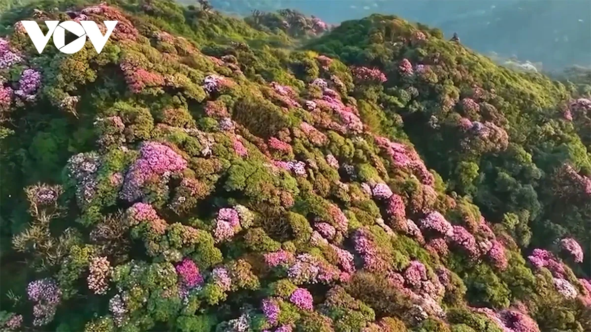 リスナーと共におしゃべりタイム （4月16日）